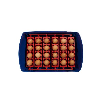 Borotto REAL 24 Semi-Automatic Egg Incubator with Free Shipping