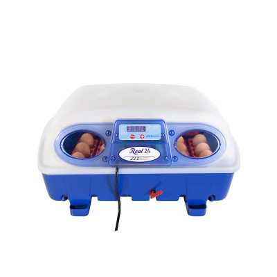 Borotto REAL 24 Halbautomatischer Eierbrutapparat mit kostenlosem Versand