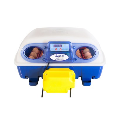 Incubadora automática de huevos Borotto Real 24 con envío gratuito