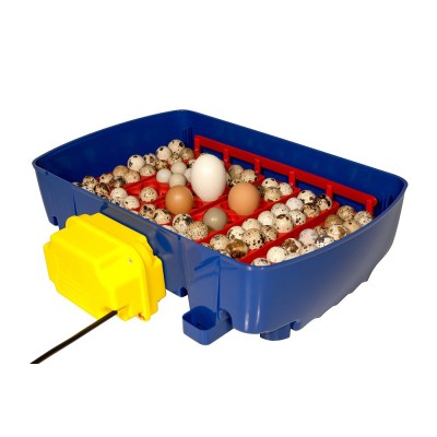 Incubateur automatique Borotto Real 24 œufs avec livraison gratuite