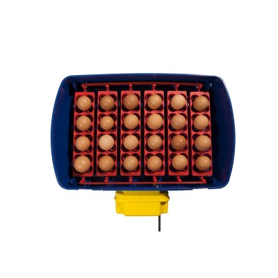 Borotto Real 24 Automatic Egg Incubator with Free Shipping