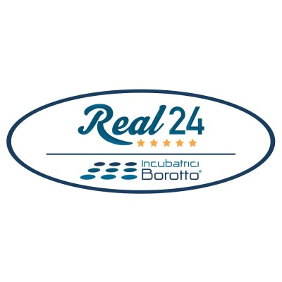 Borotto Real 24 Automatischer Eierbrutapparat mit kostenlosem Versand
