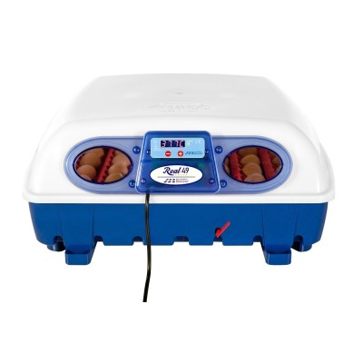 Incubatrice per uova  Borotto Real 49 Semi-Automatica Trasporto gratis