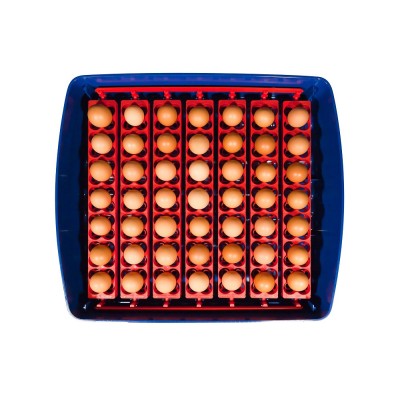 Incubadora de huevos semiautomática Borotto Real 49. Envío gratis.
