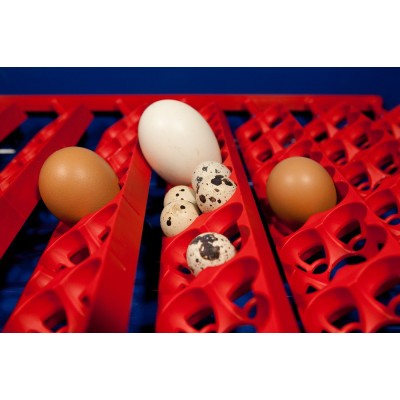 Incubadora de huevos semiautomática Borotto Real 49. Envío gratis.