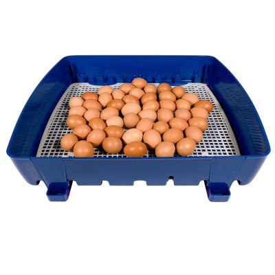 Incubadora de huevos semiautomática Borotto Real 49. Envío gratis.