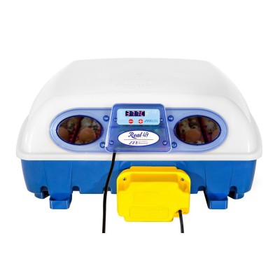 Incubateur automatique Borotto Real 49 au meilleur prix