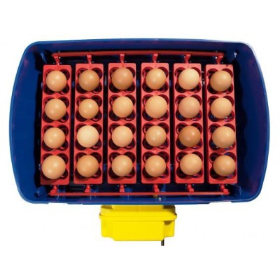 Borotto REAL 24 Expert Automatischer Inkubator mit Sirio-Luftbefeuchter