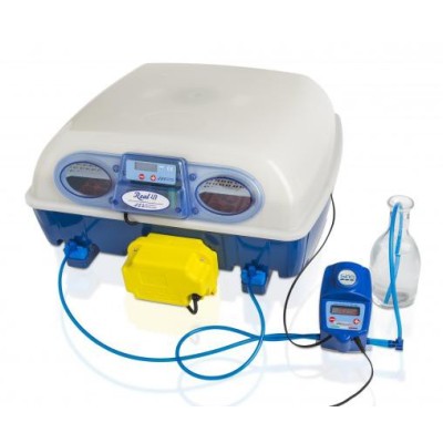Incubateur automatique Borotto REAL 49 Expert avec humidificateur Sirio