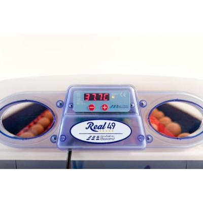 Incubateur automatique Borotto REAL 49 Expert avec humidificateur Sirio
