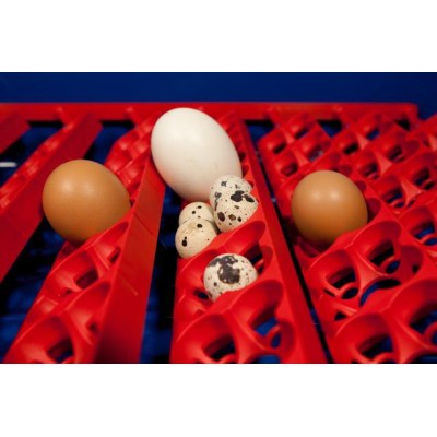 Incubateur automatique Borotto REAL 49 Expert avec humidificateur Sirio