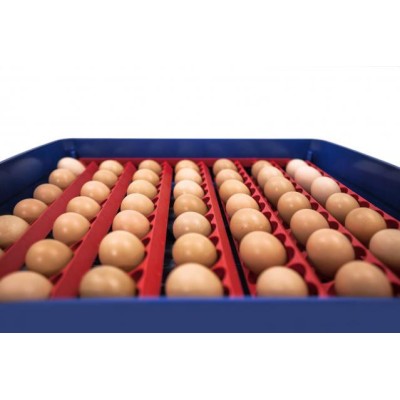 Borotto Real 49 Plus Automatischer Eierbrutapparat zum Bestpreis