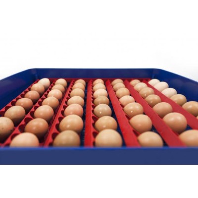 Borotto Real 49 Plus Automatic Egg Incubator at the Best Price