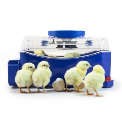 Borotto Lumia 8 Automatic Egg Incubator in ABS and with Biomaster