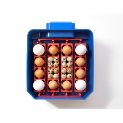 Borotto Lumia 16 Automatic Egg Incubator in ABS and Biomaster