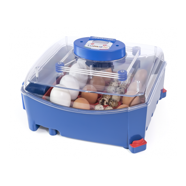 Borotto Lumia 16 Automatic Professional Incubator