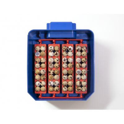 Incubadora automática de huevos Borotto Lumia 16 en ABS y Biomaster