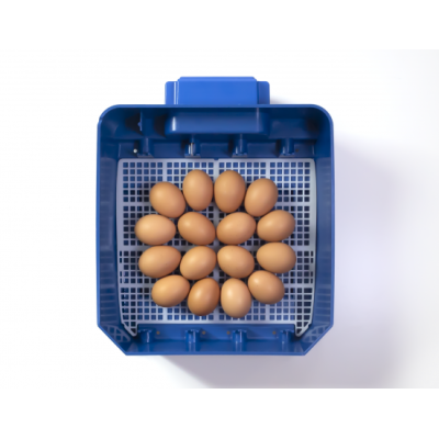Incubadora automática de huevos Borotto Lumia 16 en ABS y Biomaster