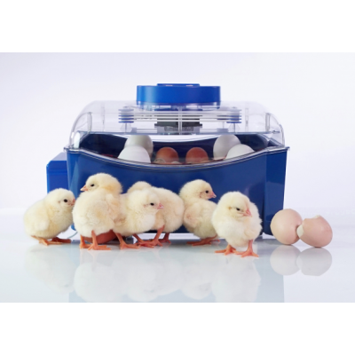 Borotto Lumia 16 Automatischer Eierbrutapparat in ABS und Biomaster