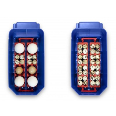 Incubateur automatique Borotto Lumia 8 Expert avec humidificateur Sirio