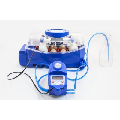 Borotto Lumia 8 Expert Automatischer Inkubator mit Sirio-Luftbefeuchter