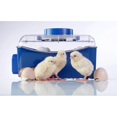 Borotto Lumia 16 Expert Automatic Incubator with Sirio Humidifier