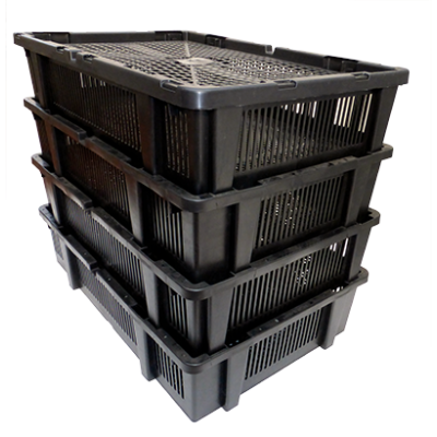 Incubadora de huevos automática Fiem Mg 320 Maxi Pro