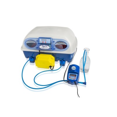 Humidificateur Borotto Sirio