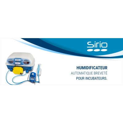 Borotto Sirio Humidifier