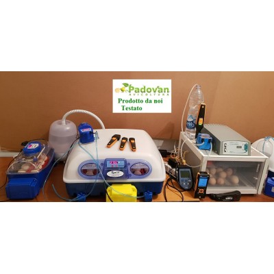 Incubateur automatique Borotto Real 24 œufs avec livraison gratuite