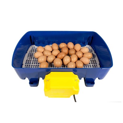 Borotto REAL 24 Expert Automatischer Inkubator mit Sirio-Luftbefeuchter