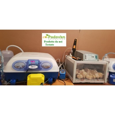 Incubadora automática Borotto REAL 49 Expert con humidificador Sirio