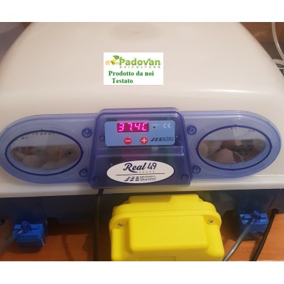 Incubateur automatique Borotto REAL 49 Expert avec humidificateur Sirio