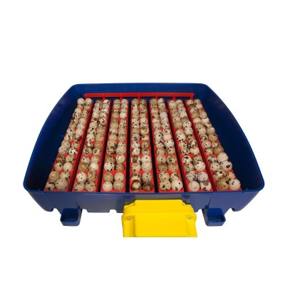 Borotto REAL 49 Expert Automatischer Inkubator mit Sirio-Luftbefeuchter