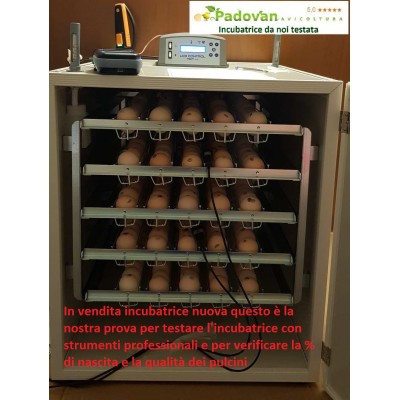 Fiem Mg 320 Maxi Pro Automatic Egg Incubator