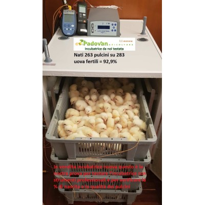 Incubadora de huevos automática Fiem Mg 320 Maxi Pro