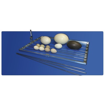 Incubateur automatique FIEM Cosmo EVO 72, fabriqué en Italie