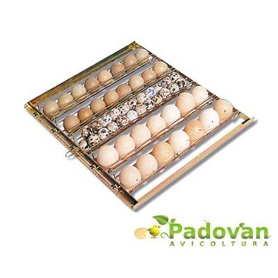 Incubation Basket 38x35 cm for Fiem MG70/100/150
