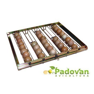 Panier d'incubation 38x35 cm pour Fiem MG70/100/150