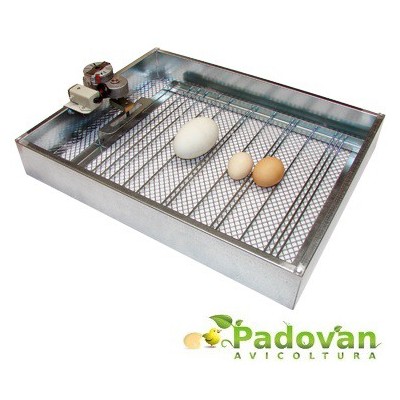 Piezas de repuesto Fiem para bandeja de incubación y eclosión con kit de volteo de huevos MG50