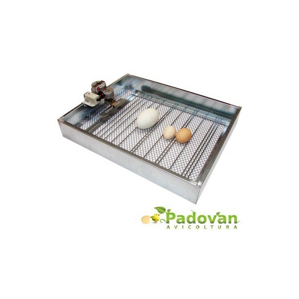 Bandeja de incubación y eclosión con kit de volteo de huevos para incubadora Fiem MG50