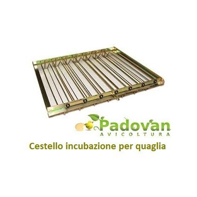 Incubateur FIEM MG70/100 à charge unique, humidificateur avancé GRATUIT