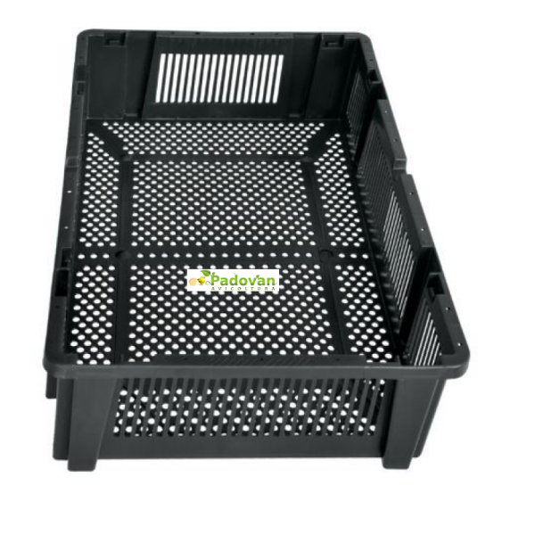 Plateau d'éclosion en plastique pour incubateur Fiem MG244 MG 316 MAXI PRO 320 MG316