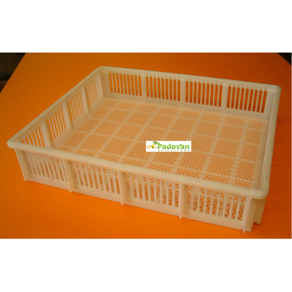 Plateau d'incubation en plastique Fiem pour incubateurs MG432-576-720-1300-2500