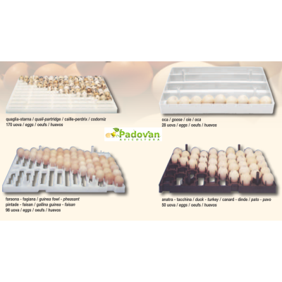 Plato Porta Professional 96 eggs of Guinea Fowl Pheasant Fiem Victoria