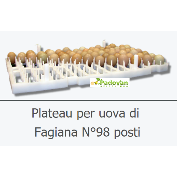 Plato trägt 96 Perlhuhne-Eier. PHAGGIANA Professional Fiem Victoria