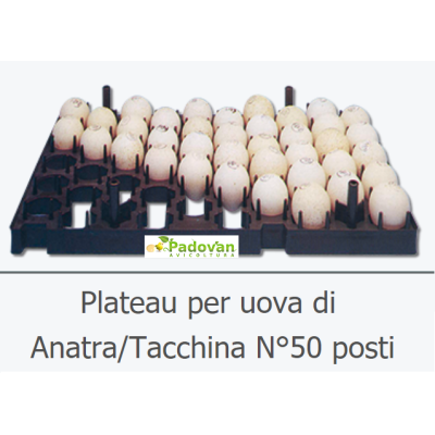 Soporte profesional Plato para 50 huevos, pato profesional, pavo, Fiem Victoria