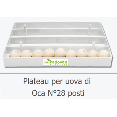 Escalfador profesional de huevos de ganso Fiem Victoria (28 huevos)