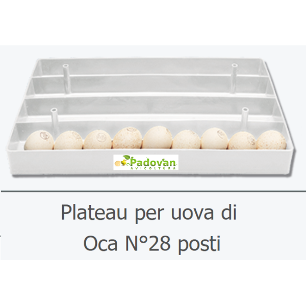 Fiem Victoria Professional Goose Egg Holder for 28 Eggs