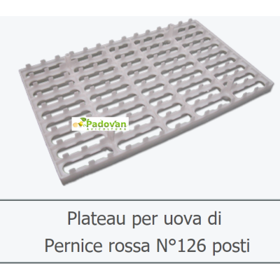Plato Porta Professionale 126 Huevos Perdiz Roja Profesional Fiem Victoria